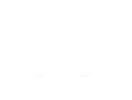 Website Design Services in Phnom Penh